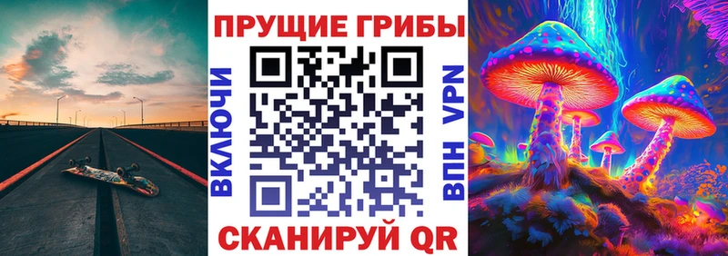 Псилоцибиновые грибы Psilocybine cubensis  Лаишево 
